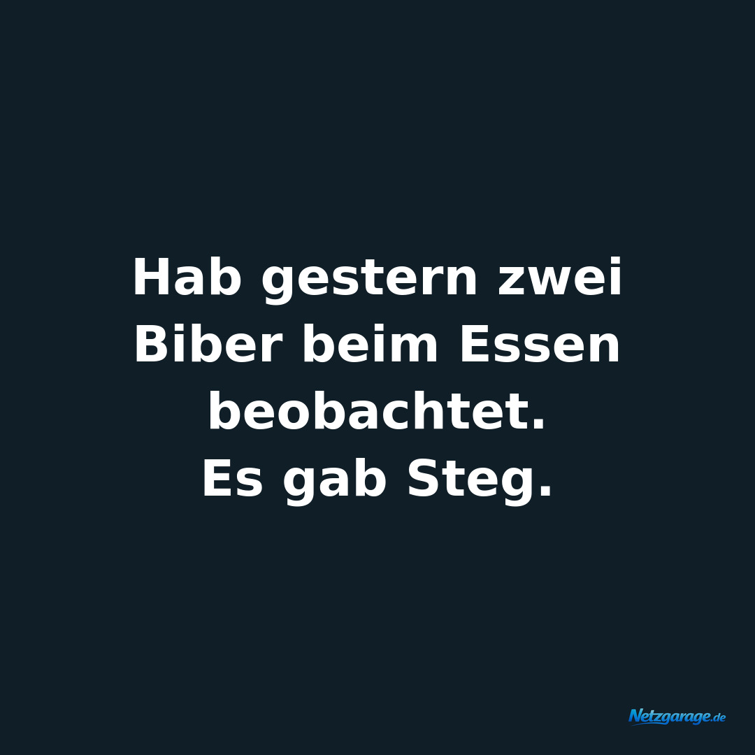 Hab gestern zwei Biber beim Essen beobachtet.
Es gab Steg.